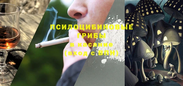 винт Абаза