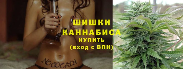молекула духа Приозерск
